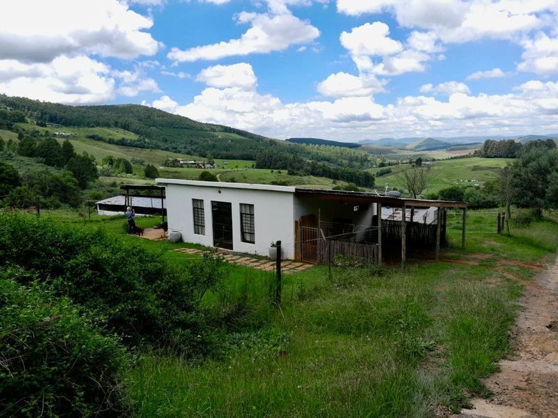 7.3ha Midlands Smallholding with Main House, Cottage and Valley Views – Balgowan - Photo 4