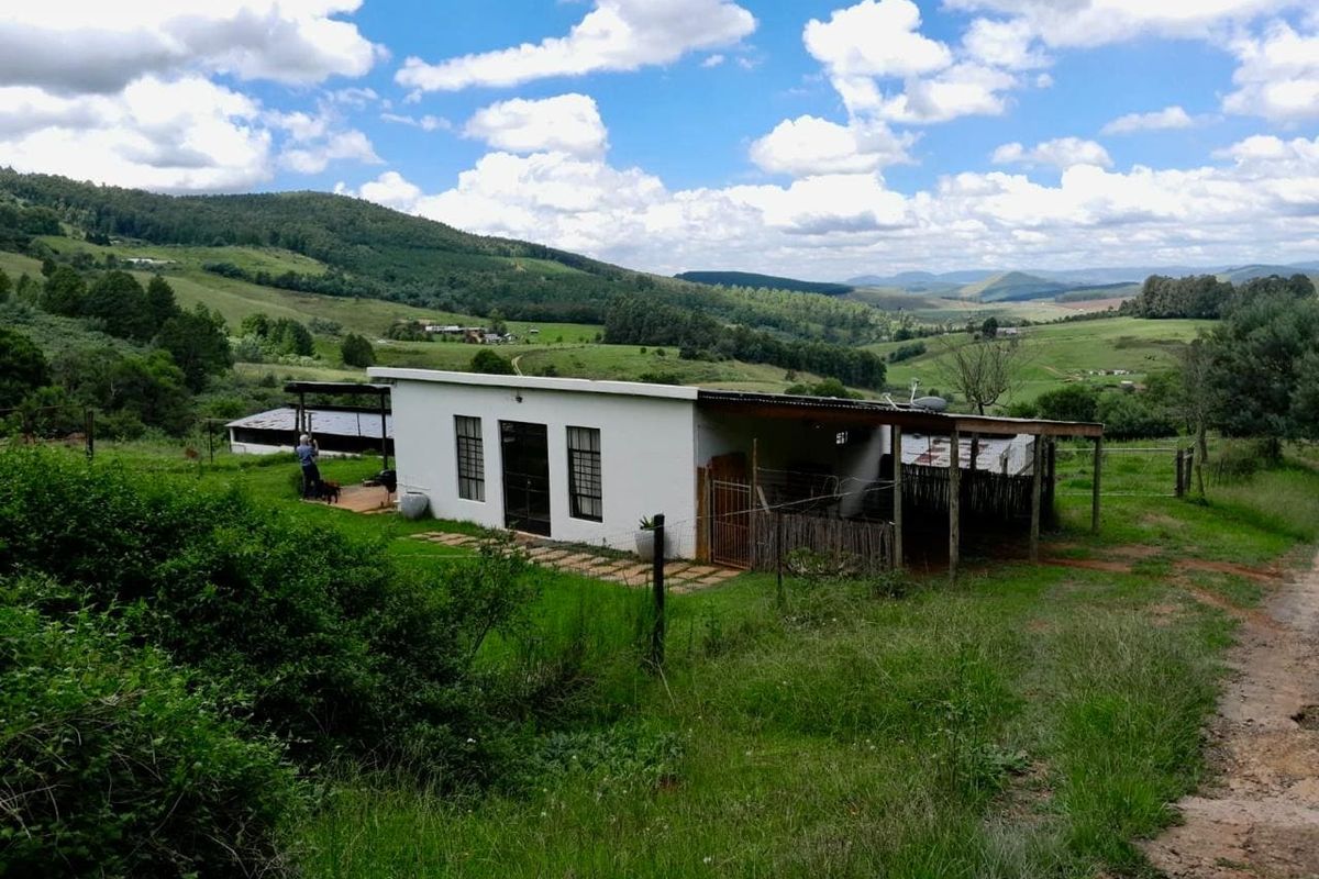 7.3ha Midlands Smallholding with Main House, Cottage and Valley Views – Balgowan - Photo 4