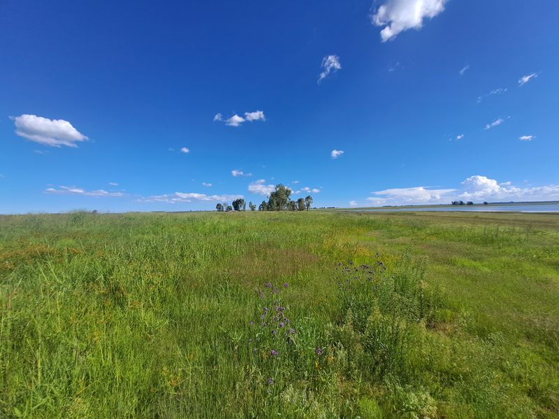 Prime 1.7Ha Waterfront Stand on the Vaaldam – A Rare Opportunity! - Photo 8