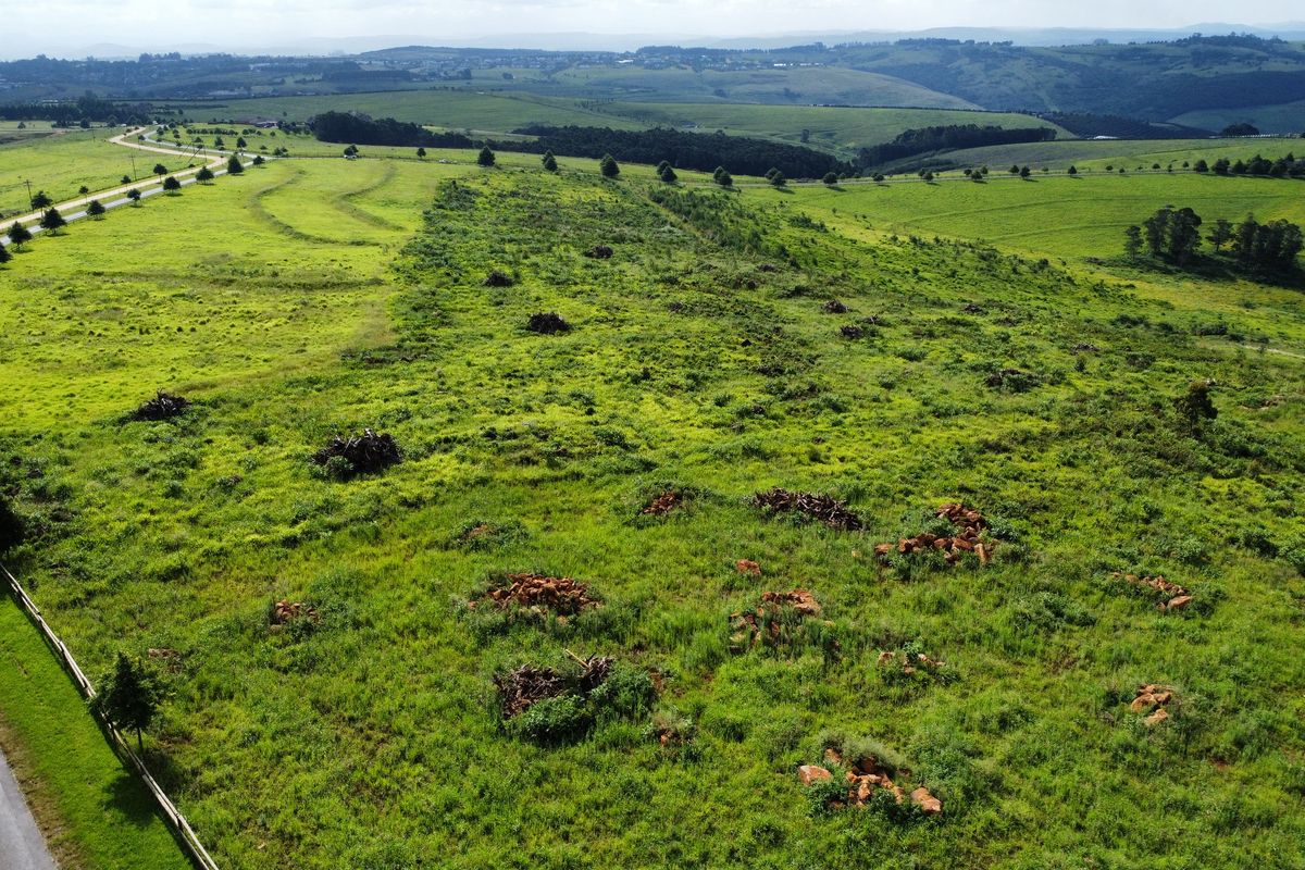 MOUNT VERDE FARMETTE WITH BREATHTAKING VIEWS - Photo 5