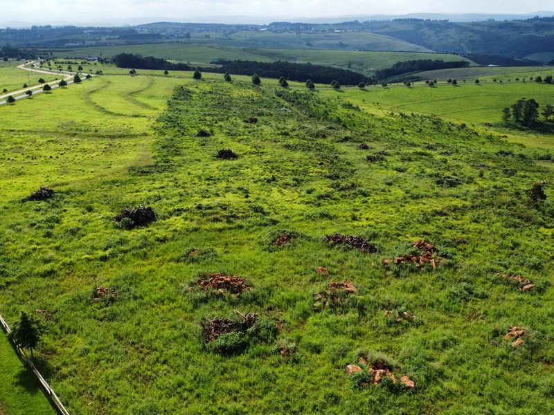 MOUNT VERDE FARMETTE WITH BREATHTAKING VIEWS - Photo 5