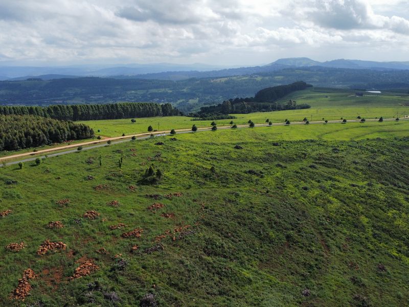 MOUNT VERDE FARMETTE WITH BREATHTAKING VIEWS - Photo 10