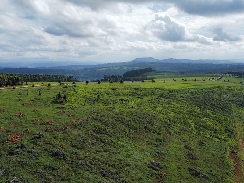 MOUNT VERDE FARMETTE WITH BREATHTAKING VIEWS - Photo 9
