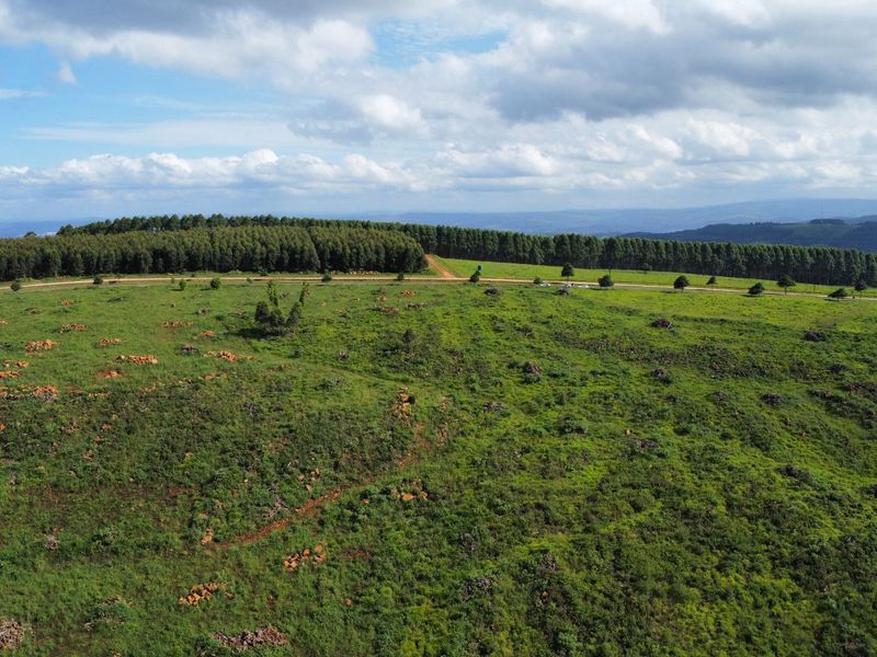 MOUNT VERDE FARMETTE WITH BREATHTAKING VIEWS - Photo 8