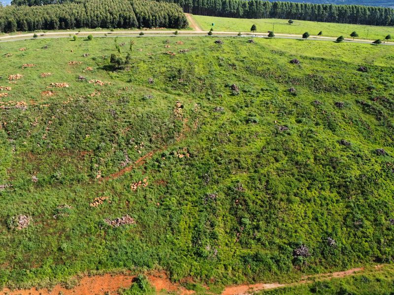 MOUNT VERDE FARMETTE WITH BREATHTAKING VIEWS - Photo 7