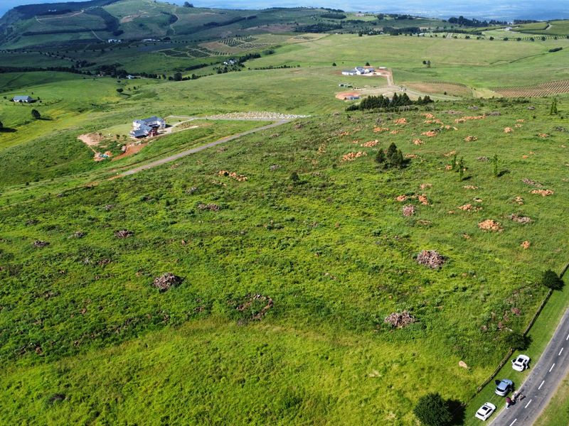 MOUNT VERDE FARMETTE WITH BREATHTAKING VIEWS - Photo 6