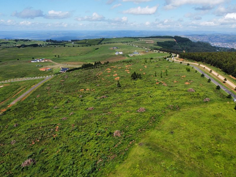 MOUNT VERDE FARMETTE WITH BREATHTAKING VIEWS - Photo 4