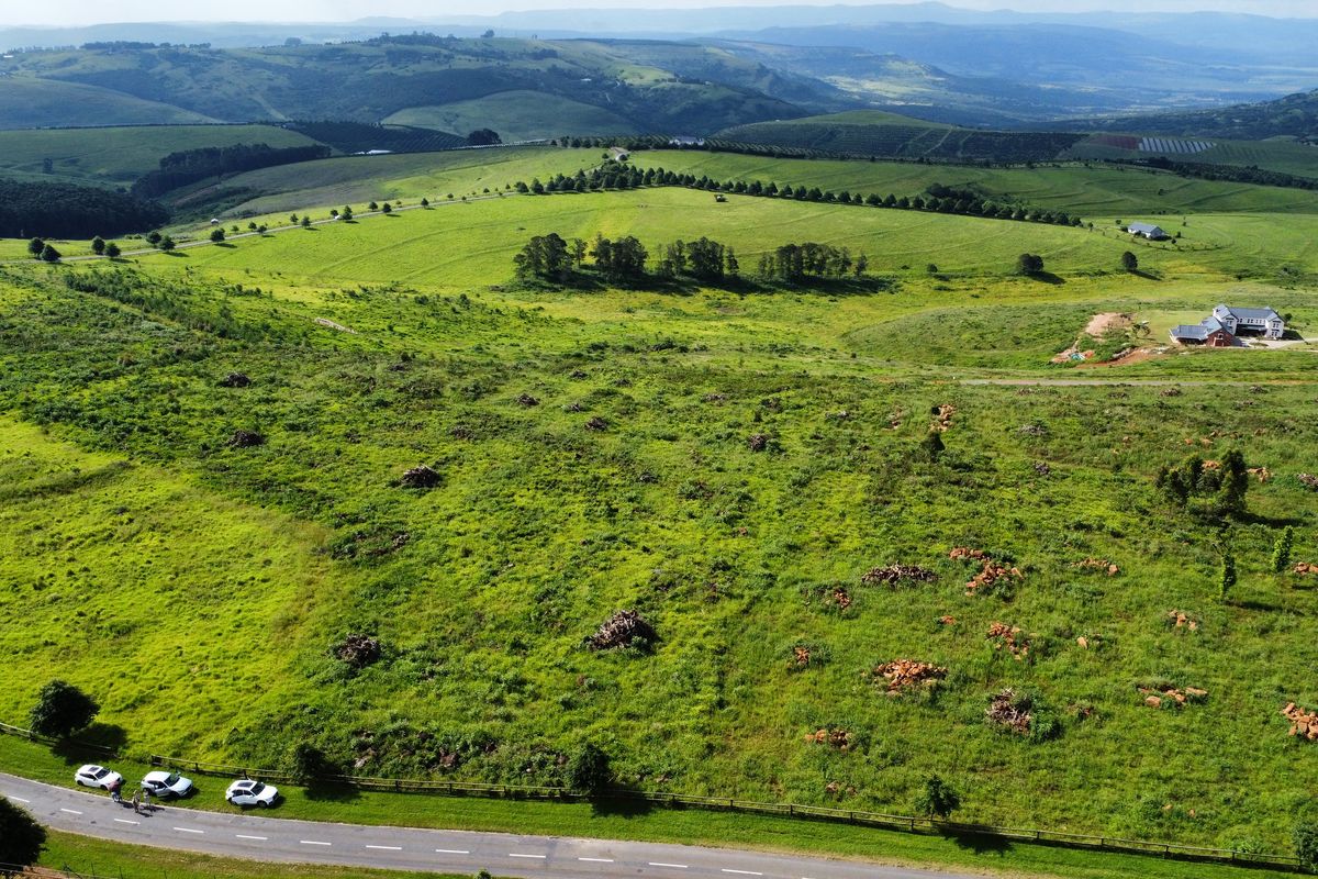MOUNT VERDE FARMETTE WITH BREATHTAKING VIEWS - Photo 2