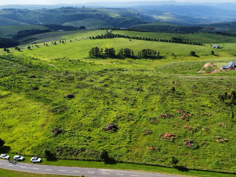 MOUNT VERDE FARMETTE WITH BREATHTAKING VIEWS - Photo 2