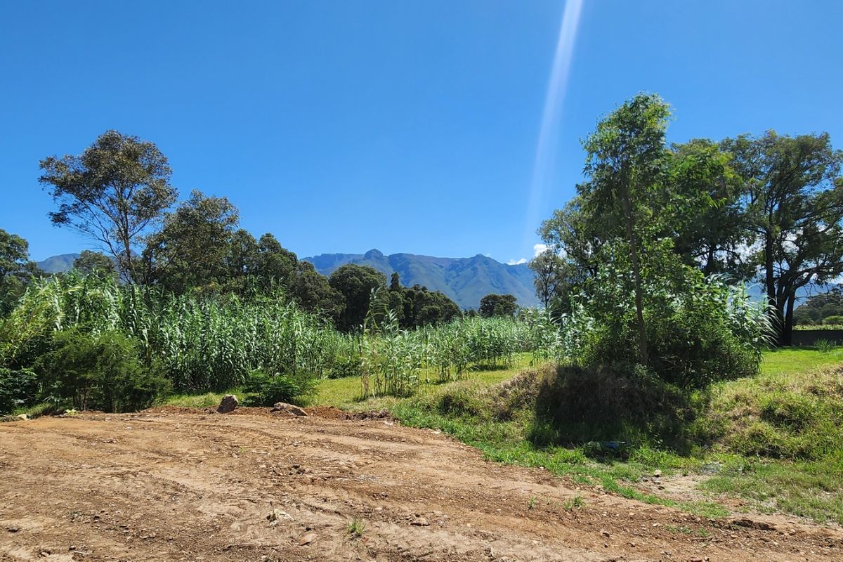 Spacious Plot with Stunning Mountain Views - Photo 2