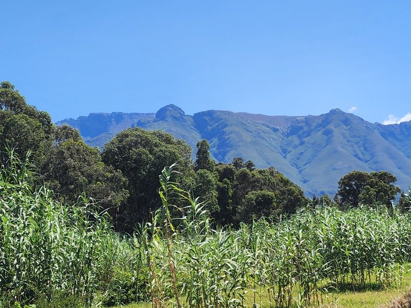 Spacious Plot with Stunning Mountain Views - Photo 9