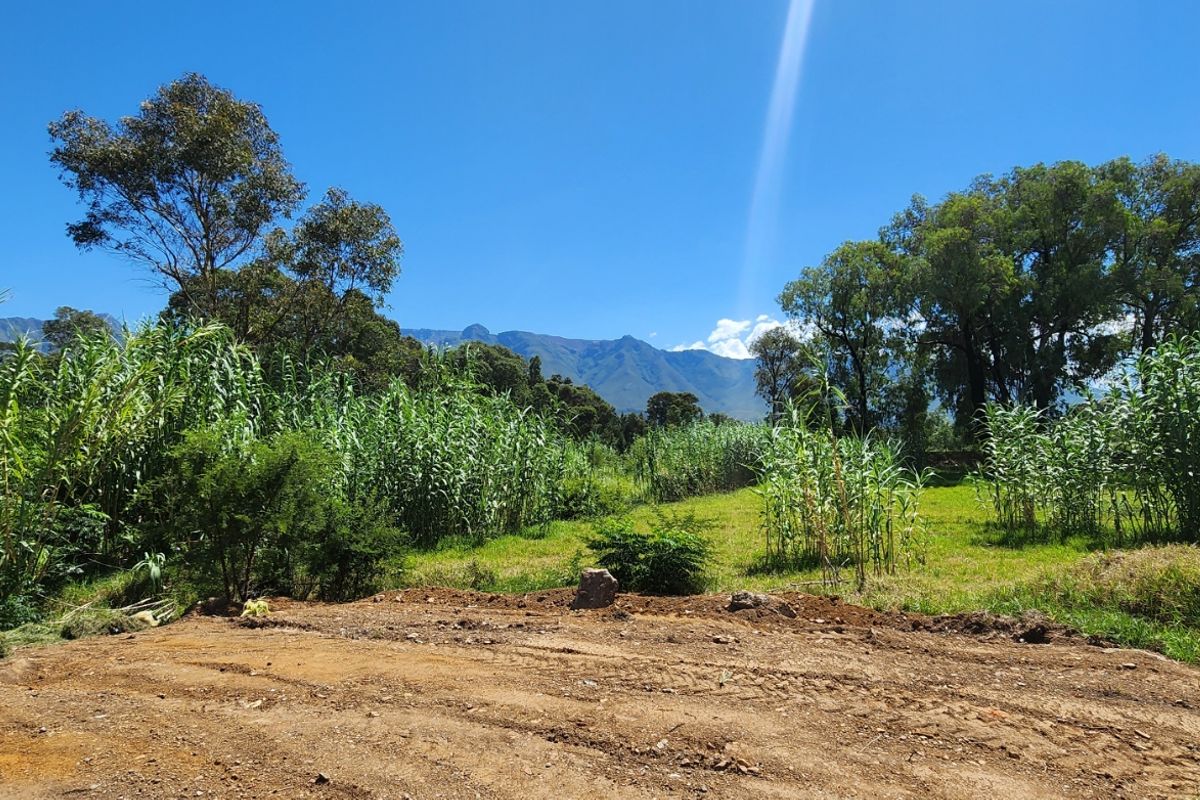 Spacious Plot with Stunning Mountain Views - Photo 3