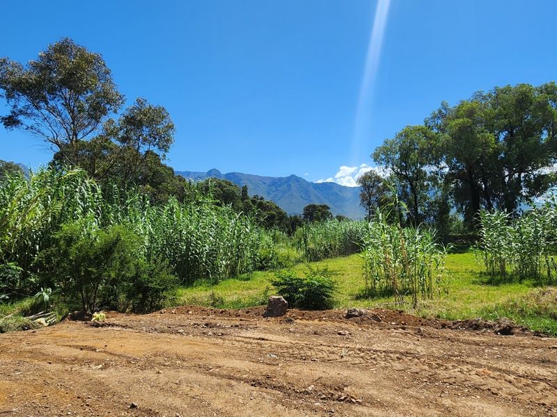 Spacious Plot with Stunning Mountain Views - Photo 3