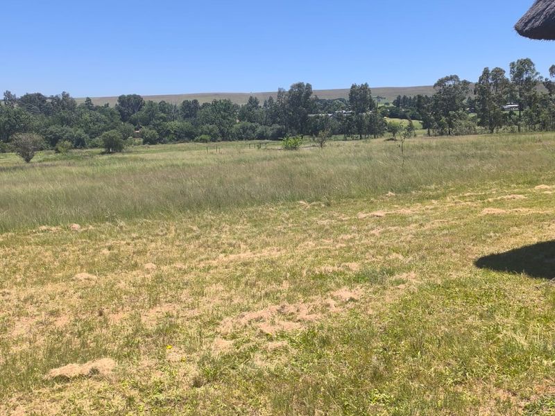Farm for Sale - Photo 2