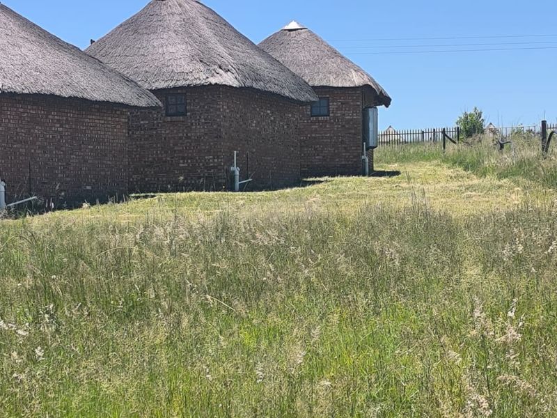Rear view of traditional brick farm buildings featuring thatched roofs and small windows, set within a large open grassy field.