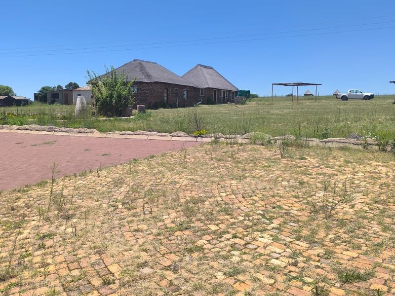 Farm for Sale - Photo 4