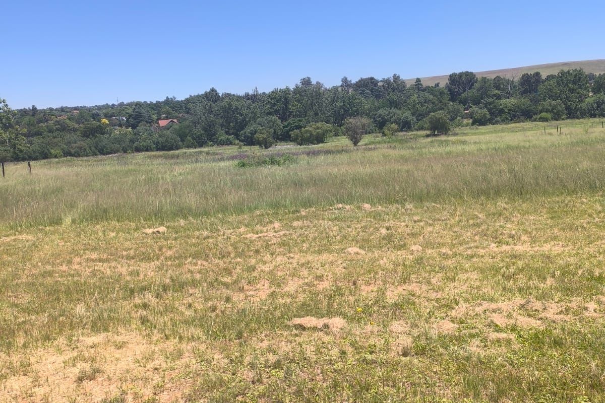 Farm for Sale - Photo 3
