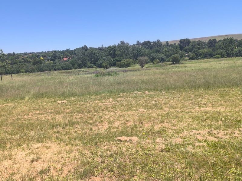 Farm for Sale - Photo 3