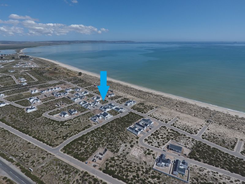 Beautiful stand nestled in the heart of the West Coast - Atlantic Sands North - Photo 6