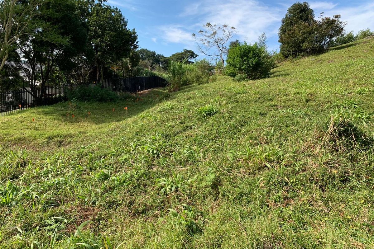 A view of the sloped, grass-covered vacant residential land featuring mature trees and perimeter fencing along the boundary.
