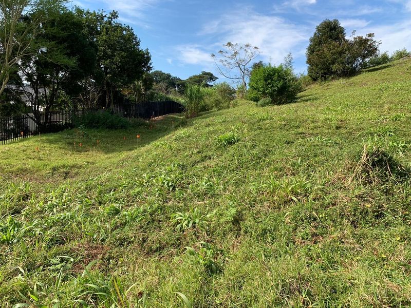 A view of the sloped, grass-covered vacant residential land featuring mature trees and perimeter fencing along the boundary.