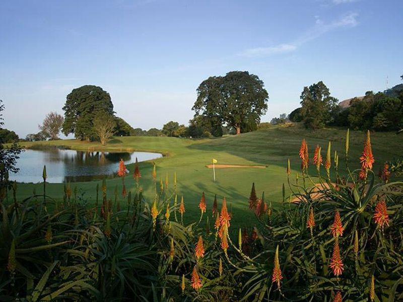 A scenic view overlooking a golf course with a lake and mature trees, framed by foreground aloe plants.