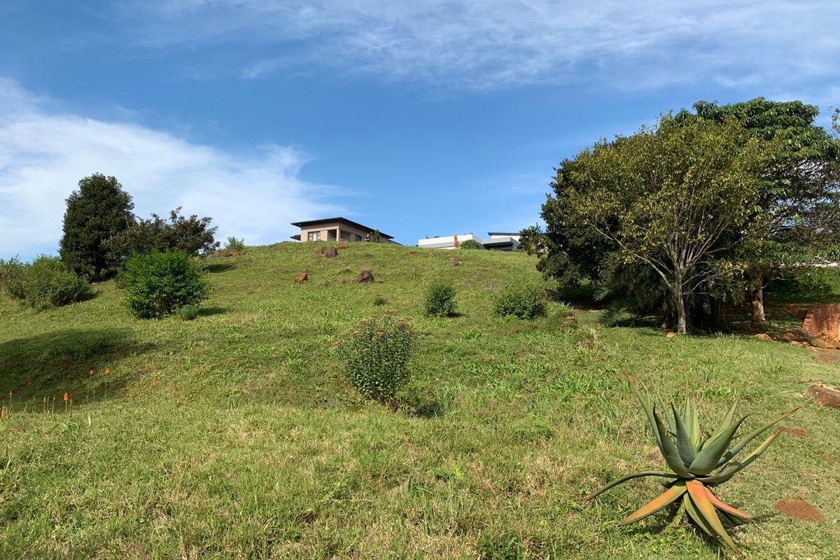 A view of a sloped, grassy residential plot with natural vegetation and mature trees, showing the elevated topography of the land.