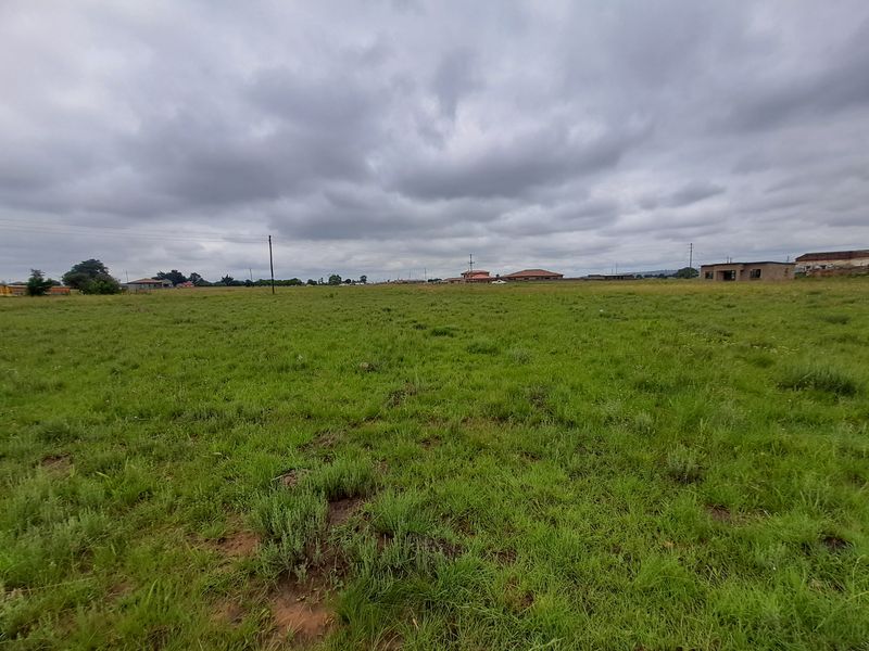 Prime Vacant Stand for Sale – Perfect for Your Dream Home or Investment! - Photo 5