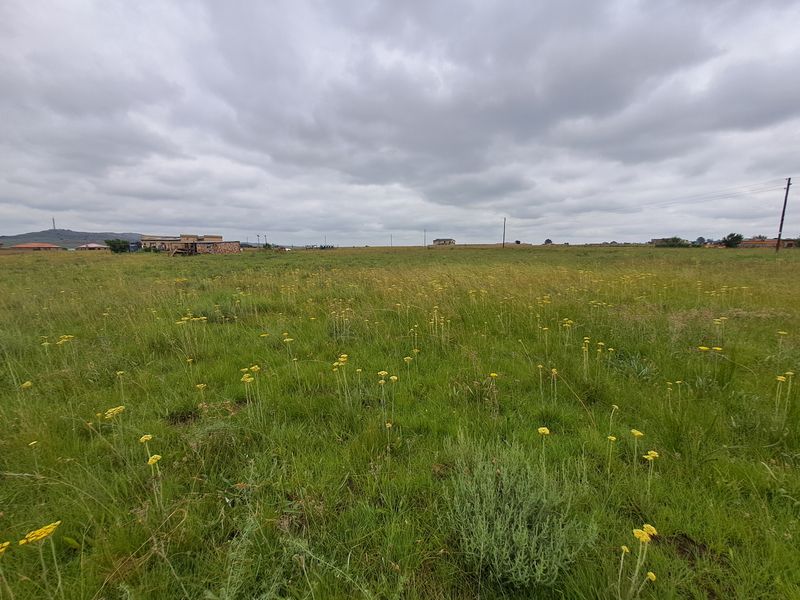 Prime Vacant Stand for Sale – Perfect for Your Dream Home or Investment! - Photo 9