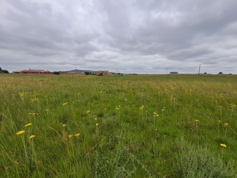 Prime Vacant Stand for Sale – Perfect for Your Dream Home or Investment! - Photo 10