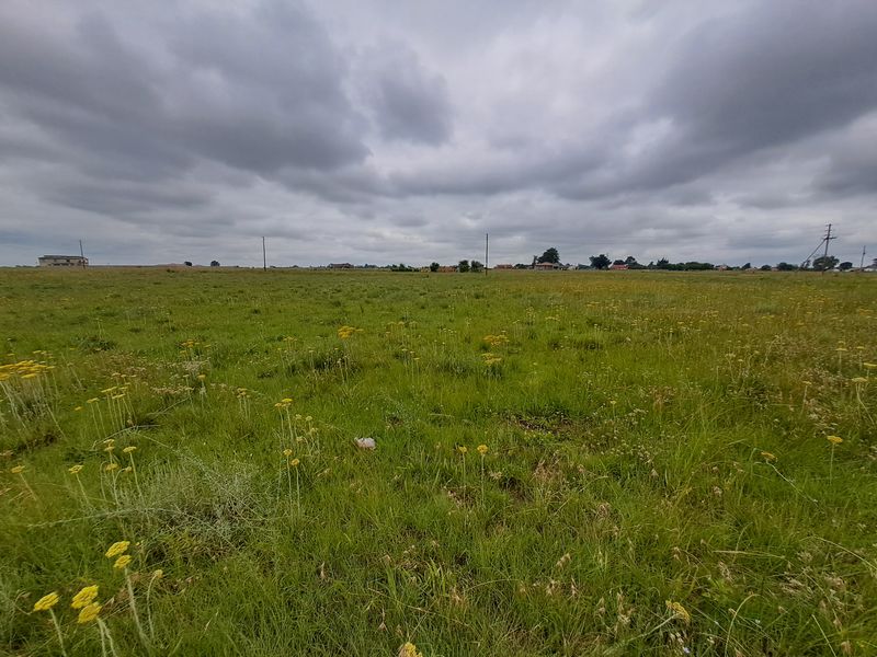 Prime Vacant Stand for Sale – Perfect for Your Dream Home or Investment! - Photo 7