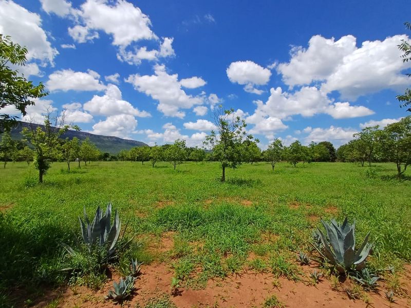 Gentlemens Farm Lifestyle Property - Photo 10
