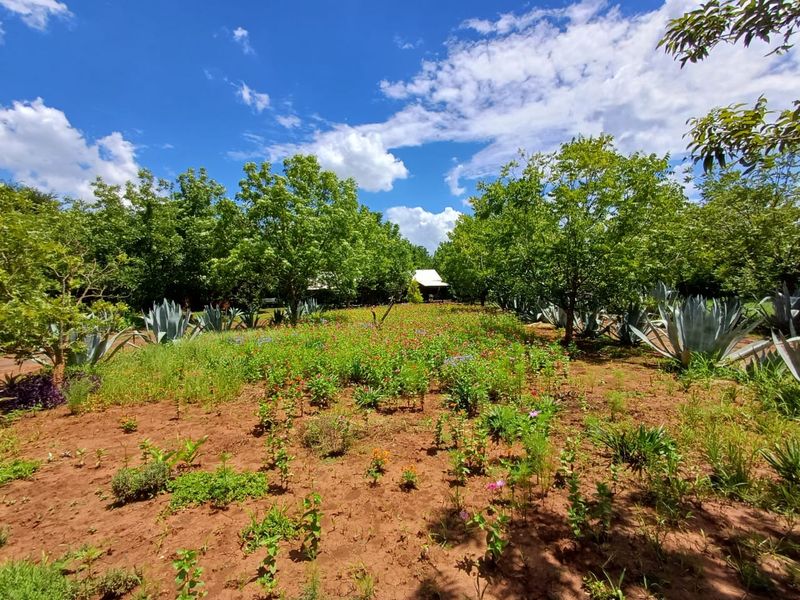 Gentlemens Farm Lifestyle Property - Photo 9
