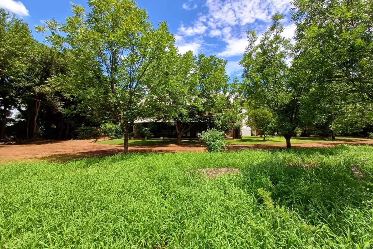 Gentlemens Farm Lifestyle Property - Photo 5
