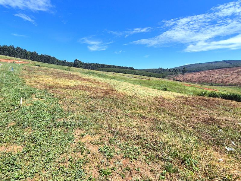 Vacant Residential Land for Sale in St John’s Village Estate, The Pinelands – Howick - Photo 2