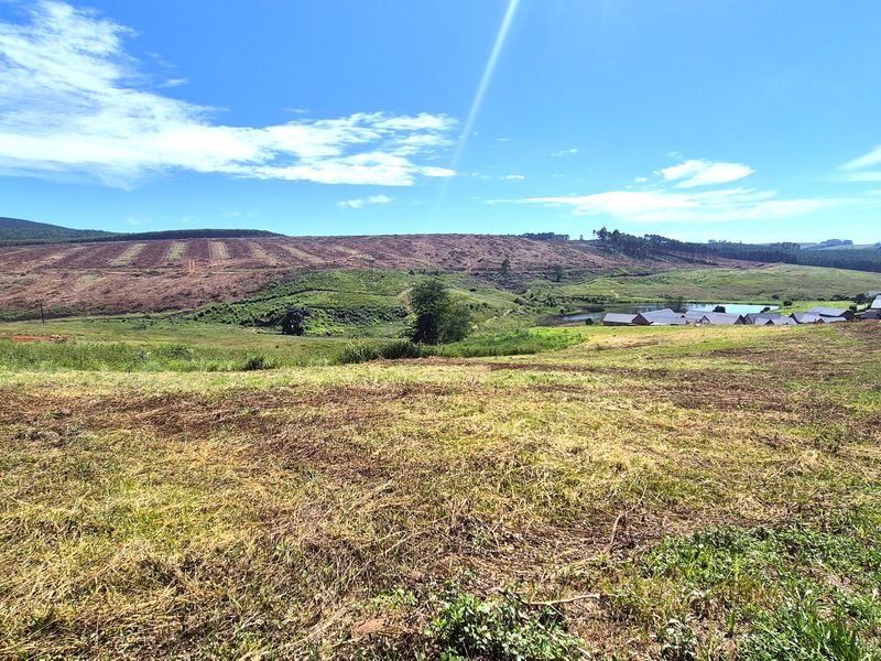 Vacant Residential Land for Sale in St John’s Village Estate, The Pinelands – Howick - Photo 5