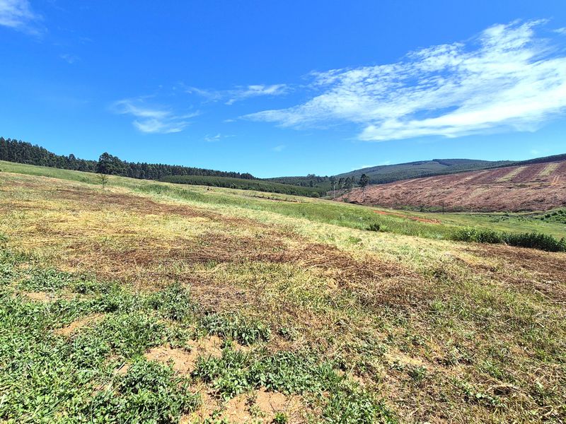 Vacant Residential Land for Sale in St John’s Village Estate, The Pinelands – Howick - Photo 4