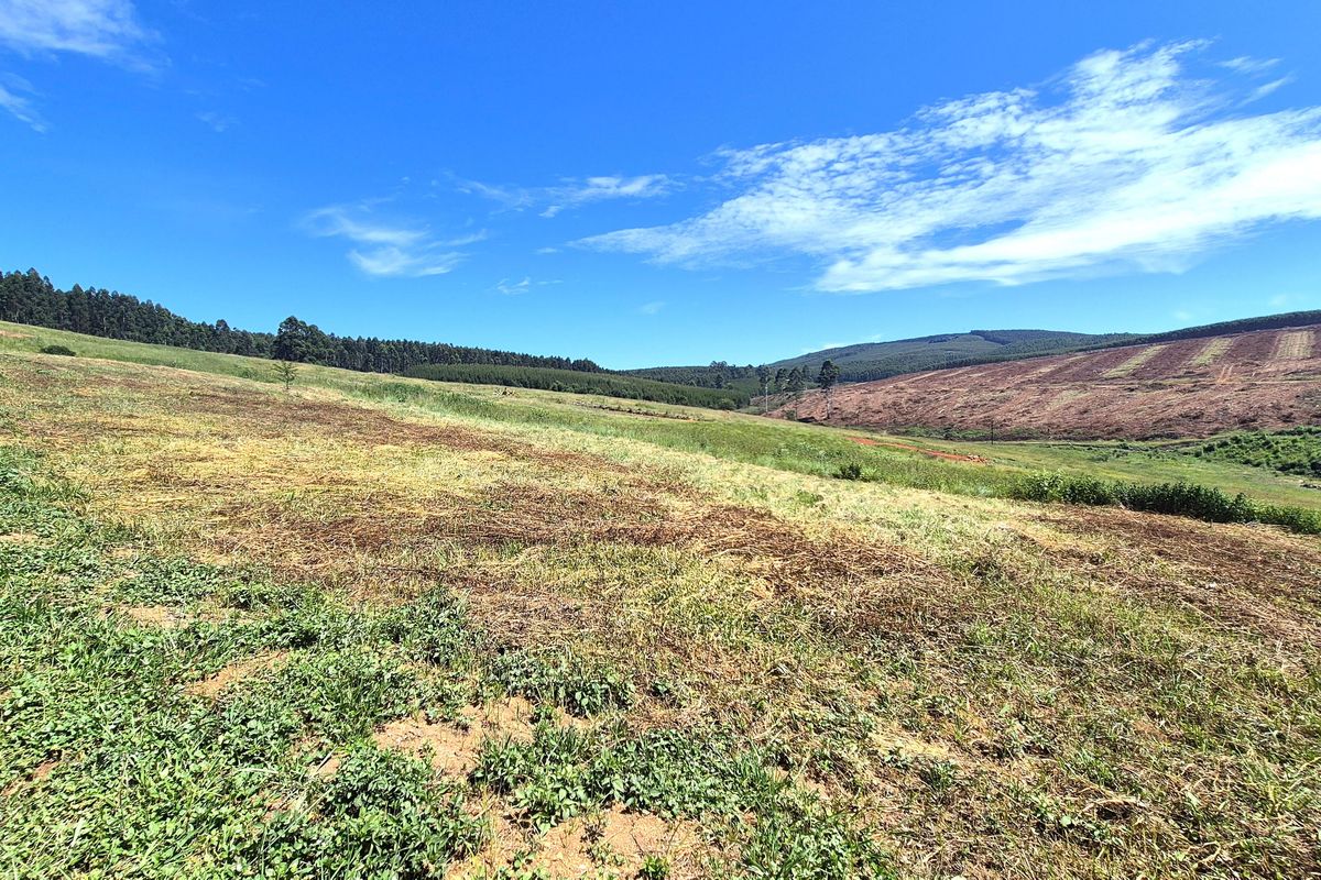 Vacant Residential Land for Sale in St John’s Village Estate, The Pinelands – Howick - Photo 4