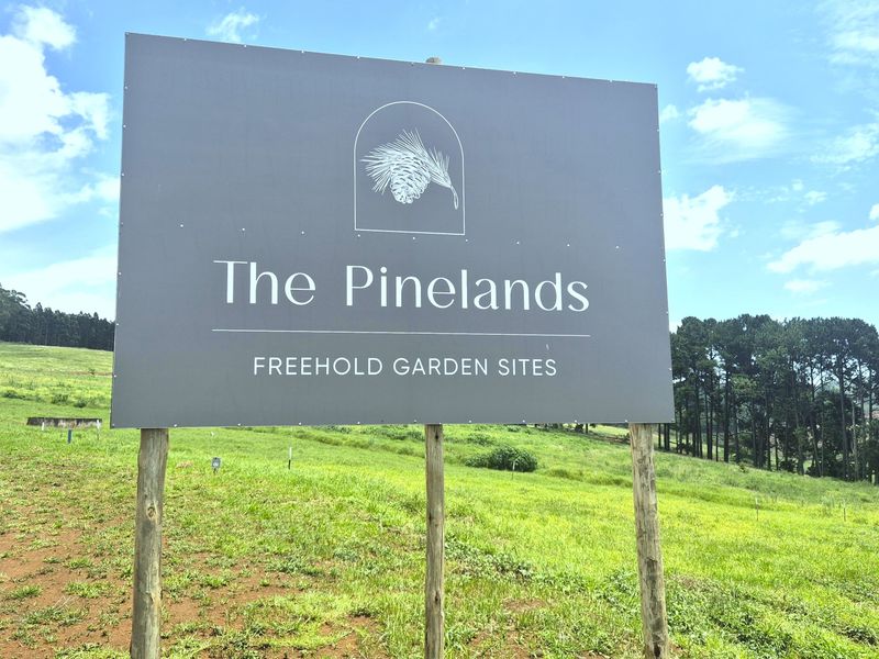 Vacant Residential Land for Sale in St John’s Village Estate, The Pinelands – Howick - Photo 6