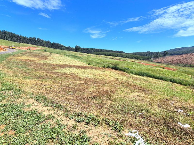 Vacant Residential Land for Sale in St John’s Village Estate, The Pinelands – Howick - Photo 3