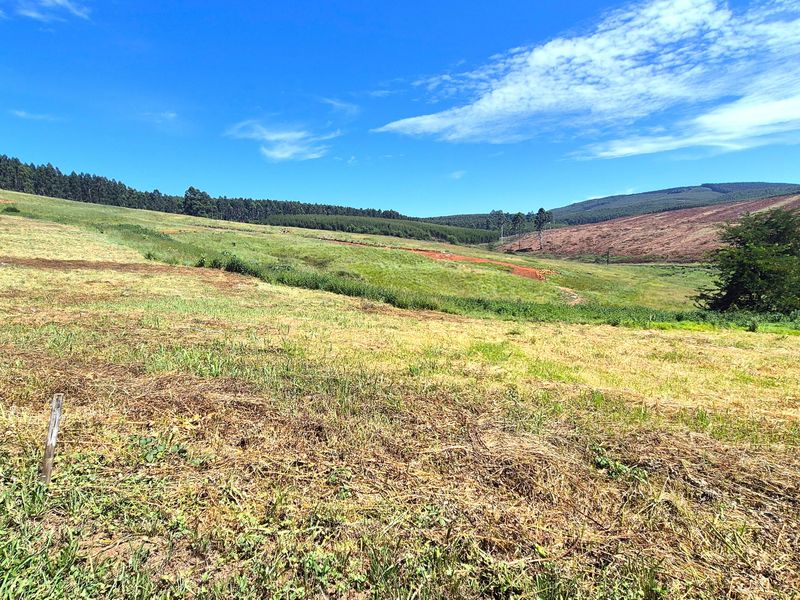 Vacant Residential Land for Sale in St John’s Village Estate, The Pinelands – Howick - Photo 5