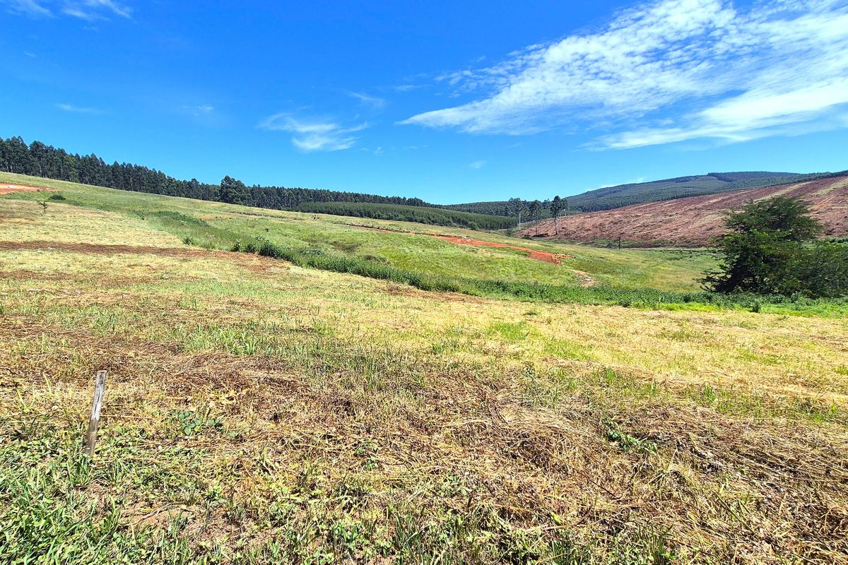 Vacant Residential Land for Sale in St John’s Village Estate, The Pinelands – Howick - Photo 5