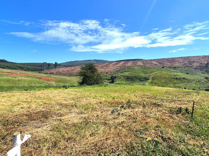 Vacant Residential Land for Sale in St John’s Village Estate, The Pinelands – Howick - Photo 3