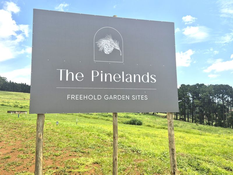 Vacant Residential Land for Sale in St John’s Village Estate, The Pinelands – Howick - Photo 5