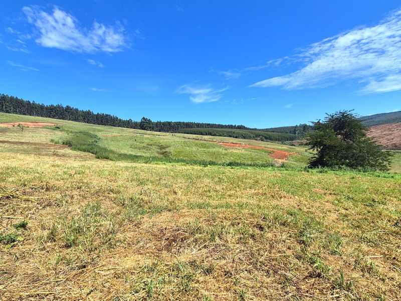 Vacant Residential Land for Sale in St John’s Village Estate, The Pinelands – Howick - Photo 2