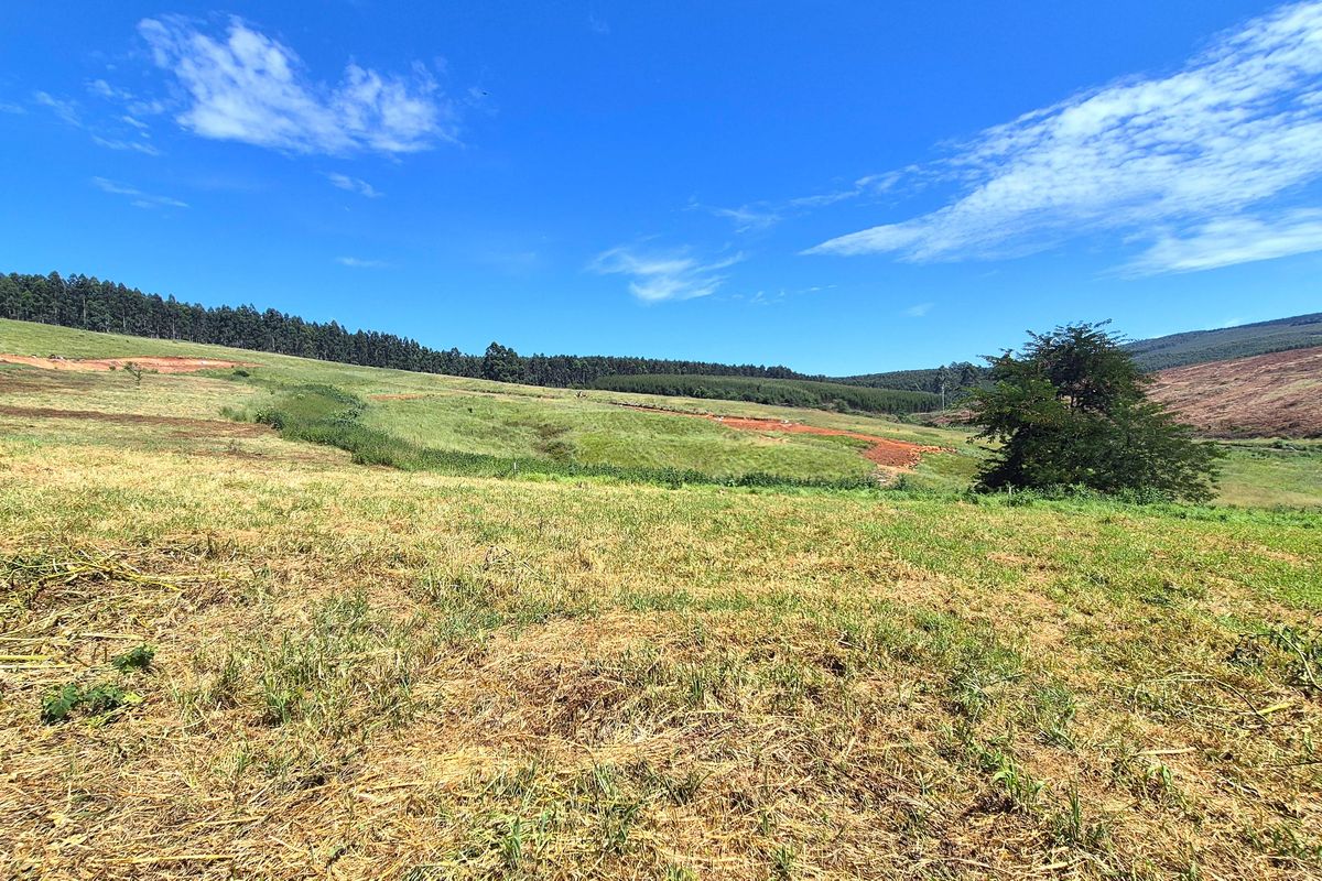 Vacant Residential Land for Sale in St John’s Village Estate, The Pinelands – Howick - Photo 2