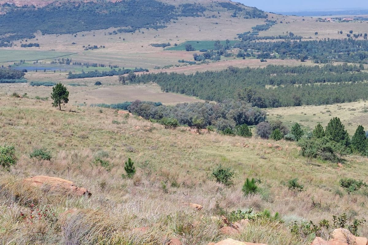 146ha Farm at a Remarkable Price, Premium Farm with Views & Value - Photo 4