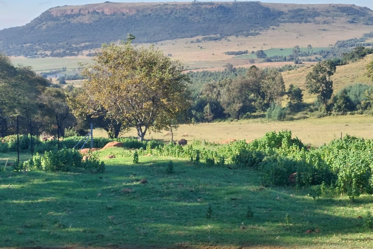 146ha Farm at a Remarkable Price, Premium Farm with Views & Value - Photo 3