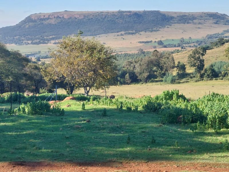 146ha Farm at a Remarkable Price, Premium Farm with Views & Value - Photo 3