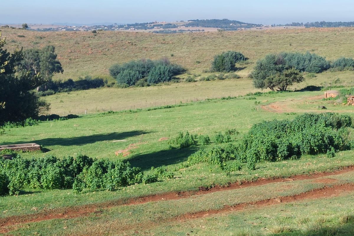 146ha Farm at a Remarkable Price, Premium Farm with Views & Value - Photo 2